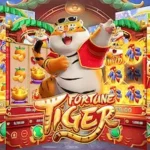 tiger fortune